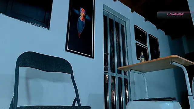 SilvaBranko webcam