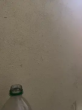 Dominicanobb webcam