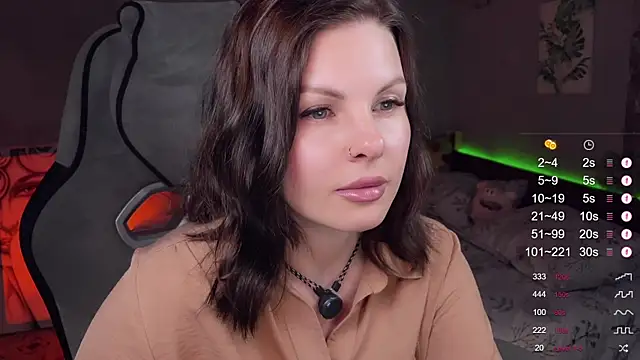 Alaska_ya webcam