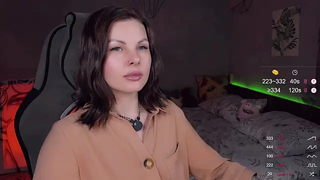 Alaska_ya webcam