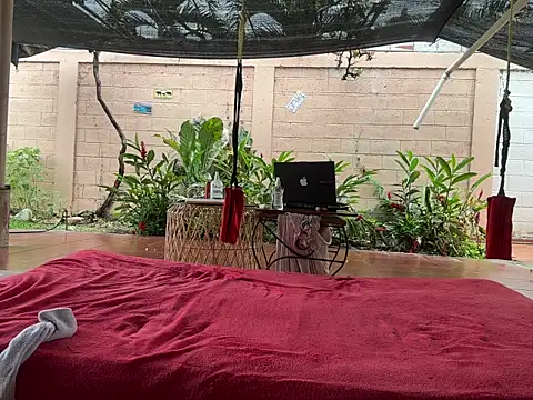 Neil_and_isaac webcam