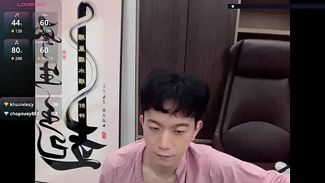 CouplingCry webcam