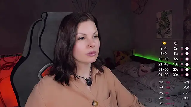 Alaska_ya webcam