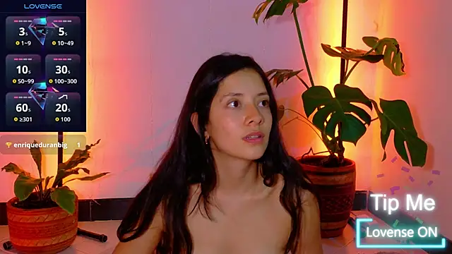 Sarasavage webcam