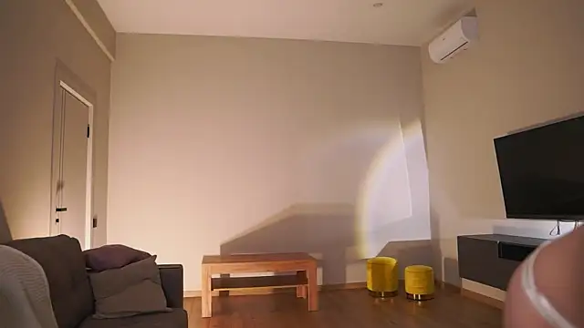 AdaBell webcam