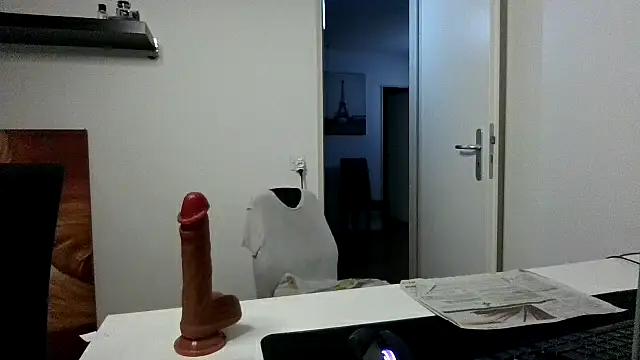 alpha-hunk webcam