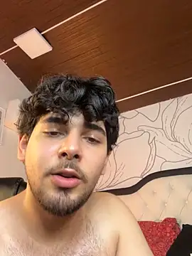 Samir_bear webcam