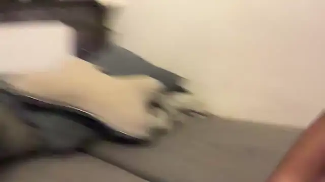 nanaisbackk webcam