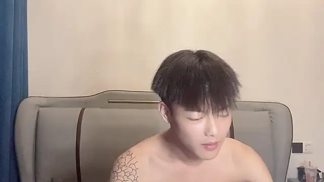 LY-0101 webcam