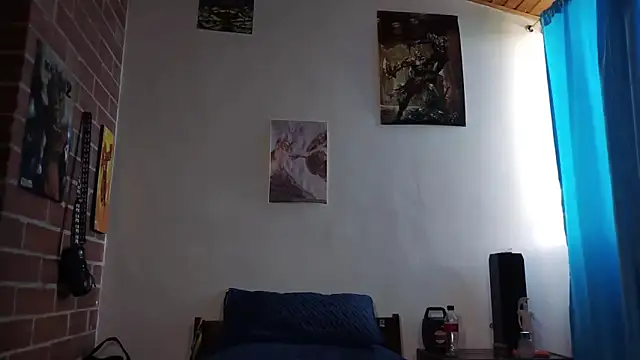 PaulDamico webcam
