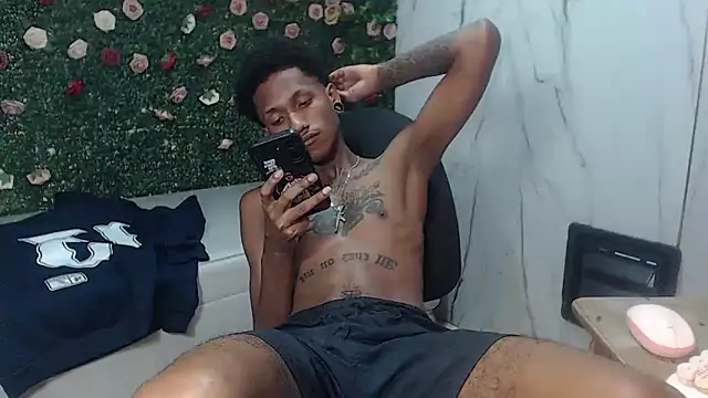 ManSant webcam
