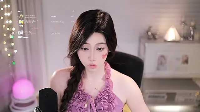 SleepArtist webcam