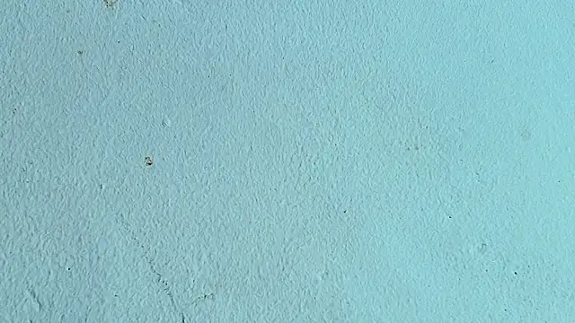 Melissa_Adamsx webcam
