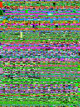 freyaa__1 webcam