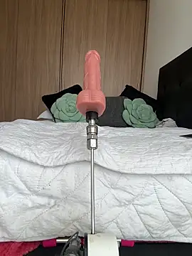 Nicollemays webcam