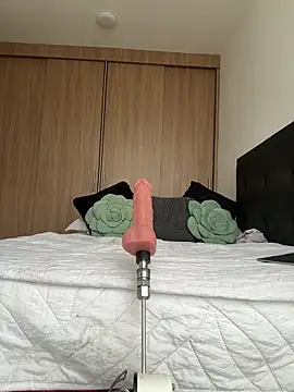 Nicollemays webcam
