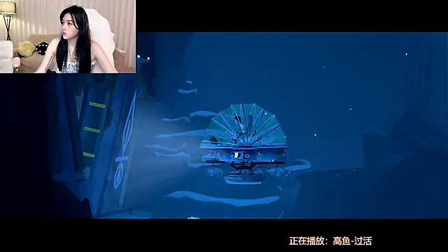Canbaobao-KK webcam