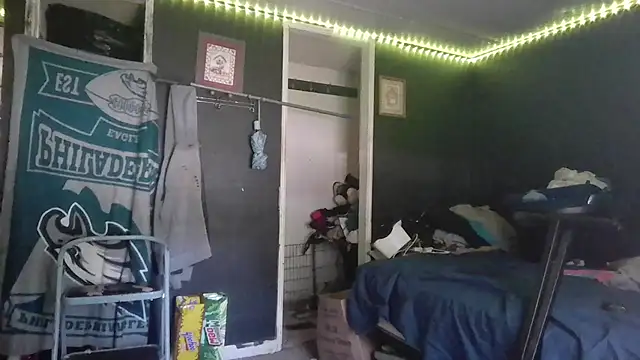 spooky425hd webcam