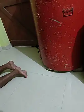 BIPIN_207 webcam