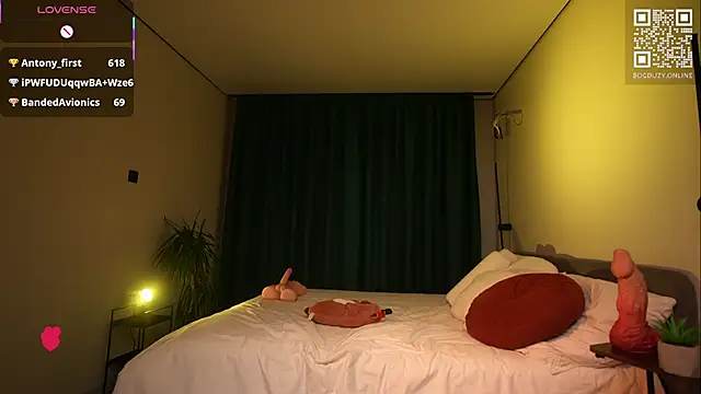 bogduzy webcam