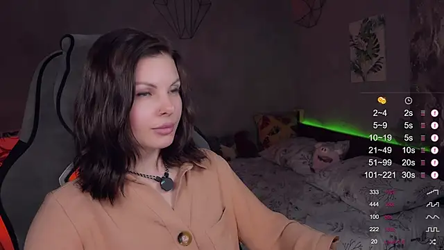 Alaska_ya webcam