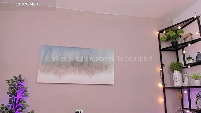 PechBri webcam