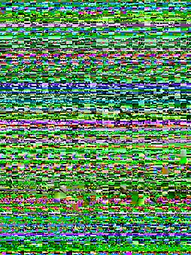 toritoga webcam