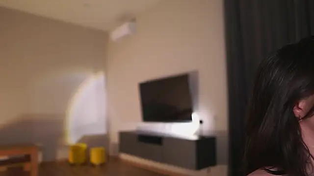 AdaBell webcam