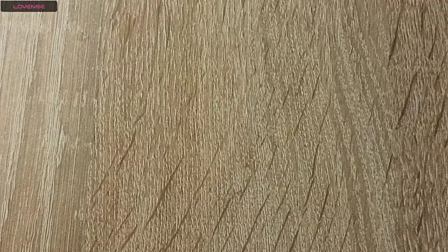 NoFace_Model webcam