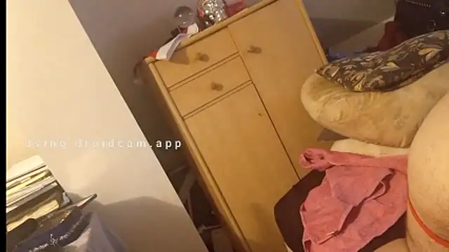 Mastersanges webcam