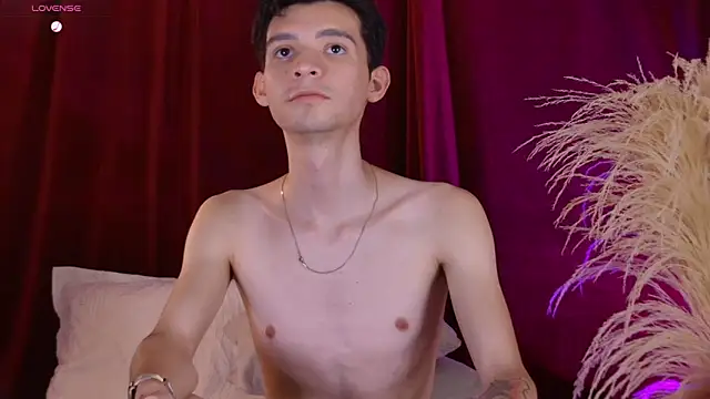 VicenteFerrer webcam
