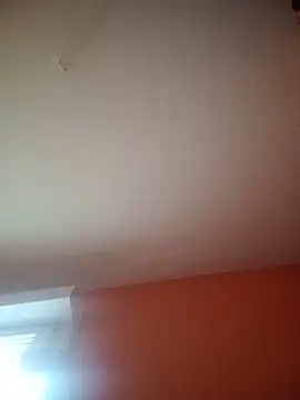 Modèle: mrlolimirass
