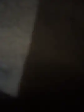 Matrix_Maestro webcam