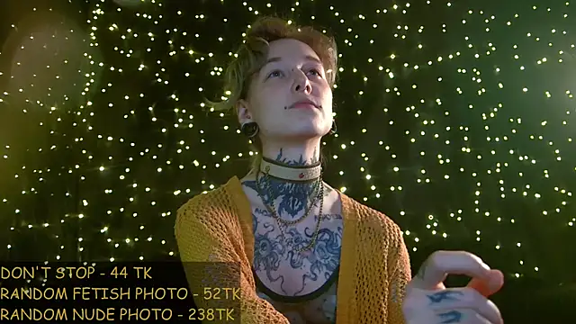 Littlespacemouse webcam