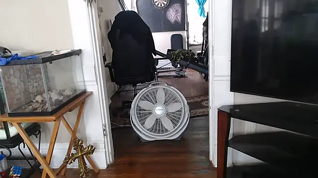 EspanolVato webcam