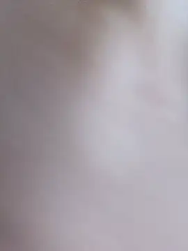 bela14 webcam