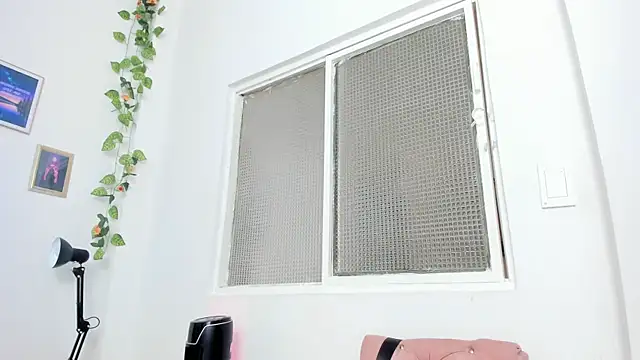 _hade_ webcam