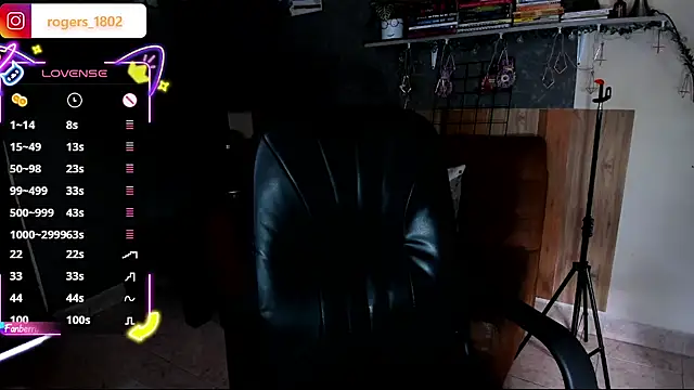 isaa_dl webcam
