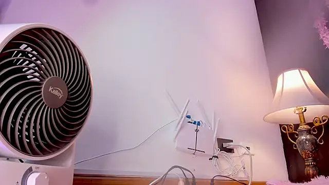 suzy_lee webcam