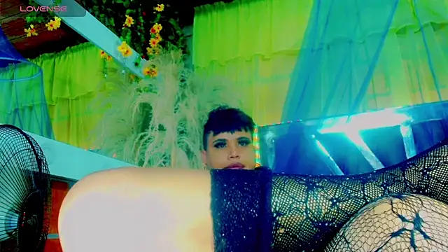 nauthyvalentina webcam