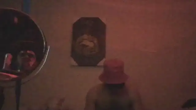 hailzeffn webcam