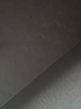 AlissaSins webcam