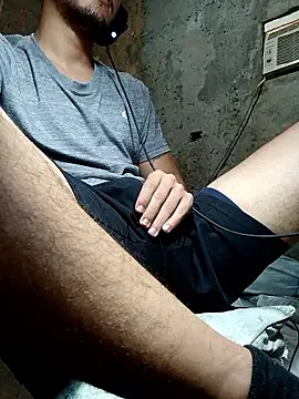 Ricapajarica webcam
