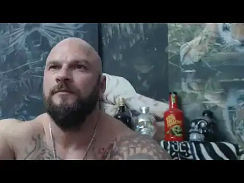 viking_30 webcam