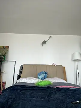 nth-li webcam