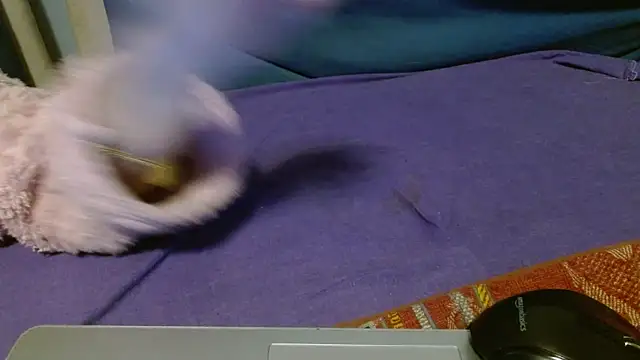 martachatte webcam