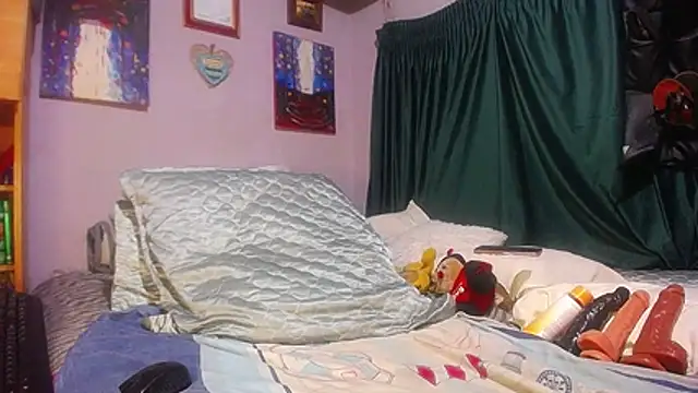 Noviavee webcam