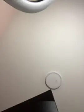 Michelle_ec