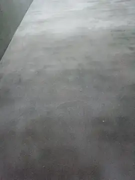Sgs594802799 webcam