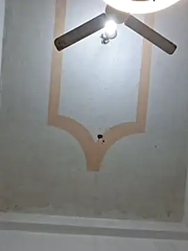 preya6 webcam